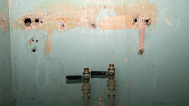 Best Sewage cleanup and water damage restoration  in Worthington Hills, KY