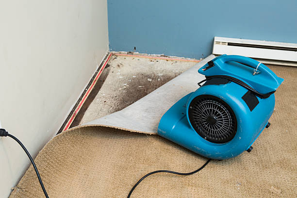 Best Water damage restoration company  in Worthington Hills, KY